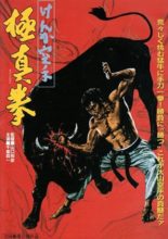 Karate Bullfighter (1977)