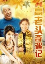 The Adventures of Old Mr. Gao (2002)