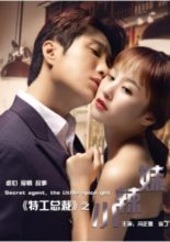 Perfect Match: The Special Agent and His Hot Girl (2018)