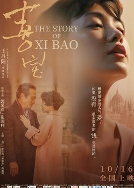 The Story of Xi Bao (2020)
