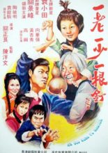 Mad Mad Kung Fu (1980)