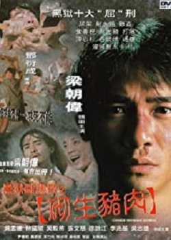 Chinese Midnight Express (1997)