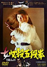 Sister Street Fighter: Fifth Level Fist (1976)