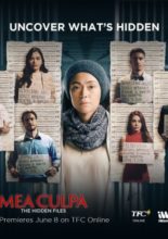 Mea Culpa: The Hidden Files (2019)