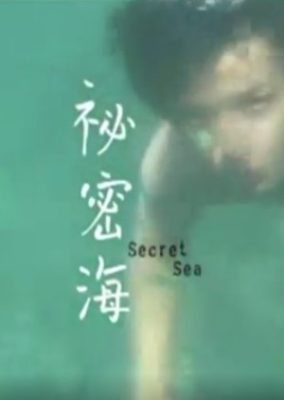 秘密の海 (2009)