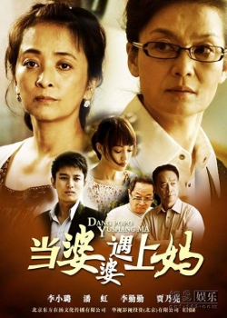 母と義母 (2011)