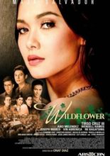 Wildflower (2017)