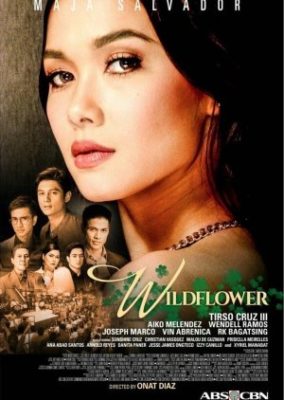 Wildflower (2017)
