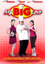 My Big Love (2008)