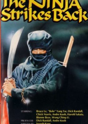 The Ninja Strikes Back (1982)