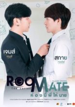Roommate Special Episode (2020)